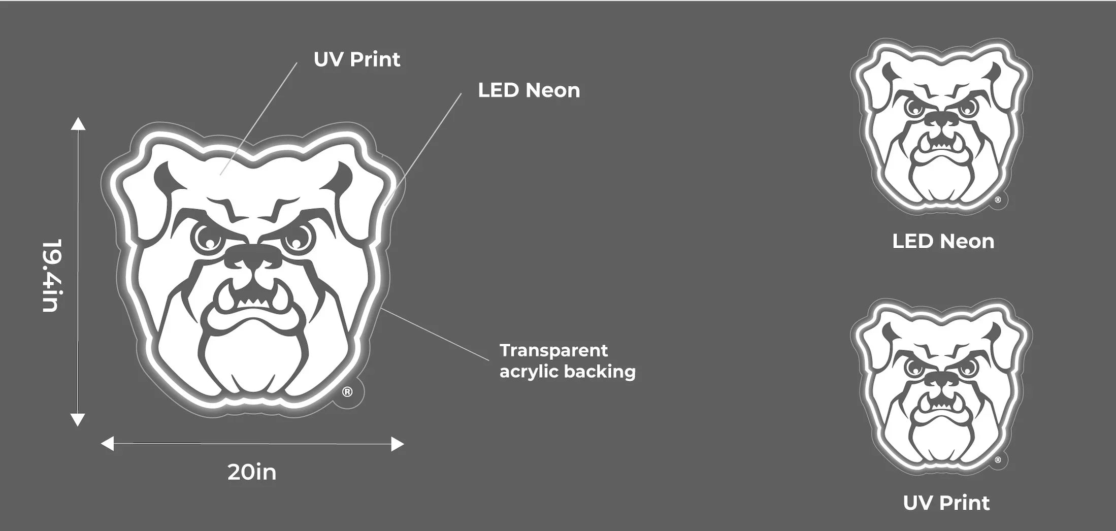 Butler University LED UV Print Neon Sign w/ Dimmer - Bulldog - 20" Neon Signs