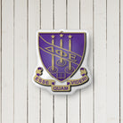 DPHIE Crest Custom-Shape Throw Pillow
