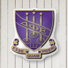 DPHIE Crest Custom-Shape Throw Pillow