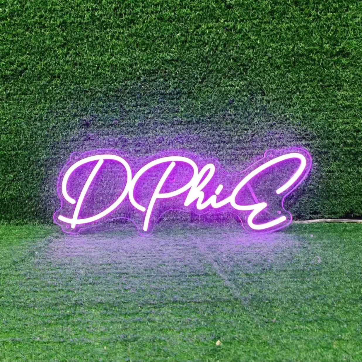 DPHIE LED Neon Sign w/ Dimmer Neon Signs