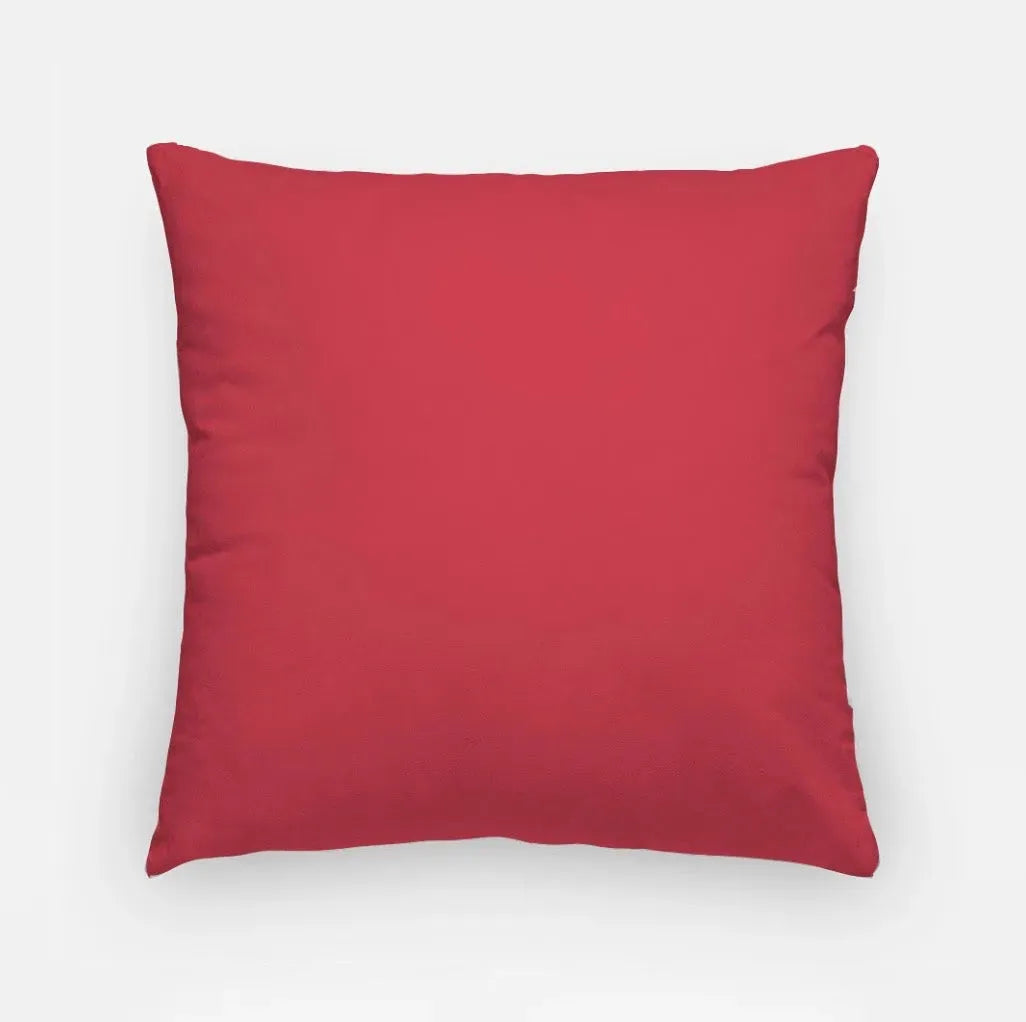 Alpha Omicron Pi 18" Heart Throw Pillow Cover Pillow Covers
