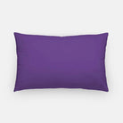 Delta Phi Epsilon Lumbar Pillow Cover - Stripes | Custom Gifts | Decor