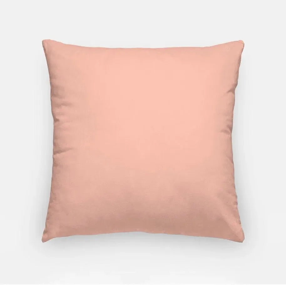 Theta Pink 18" Throw Pillow Cover - Kite & Greek Letters Pillow Covers