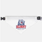 Belmont University Pet Bandana | Official Gifts and Merchandise 