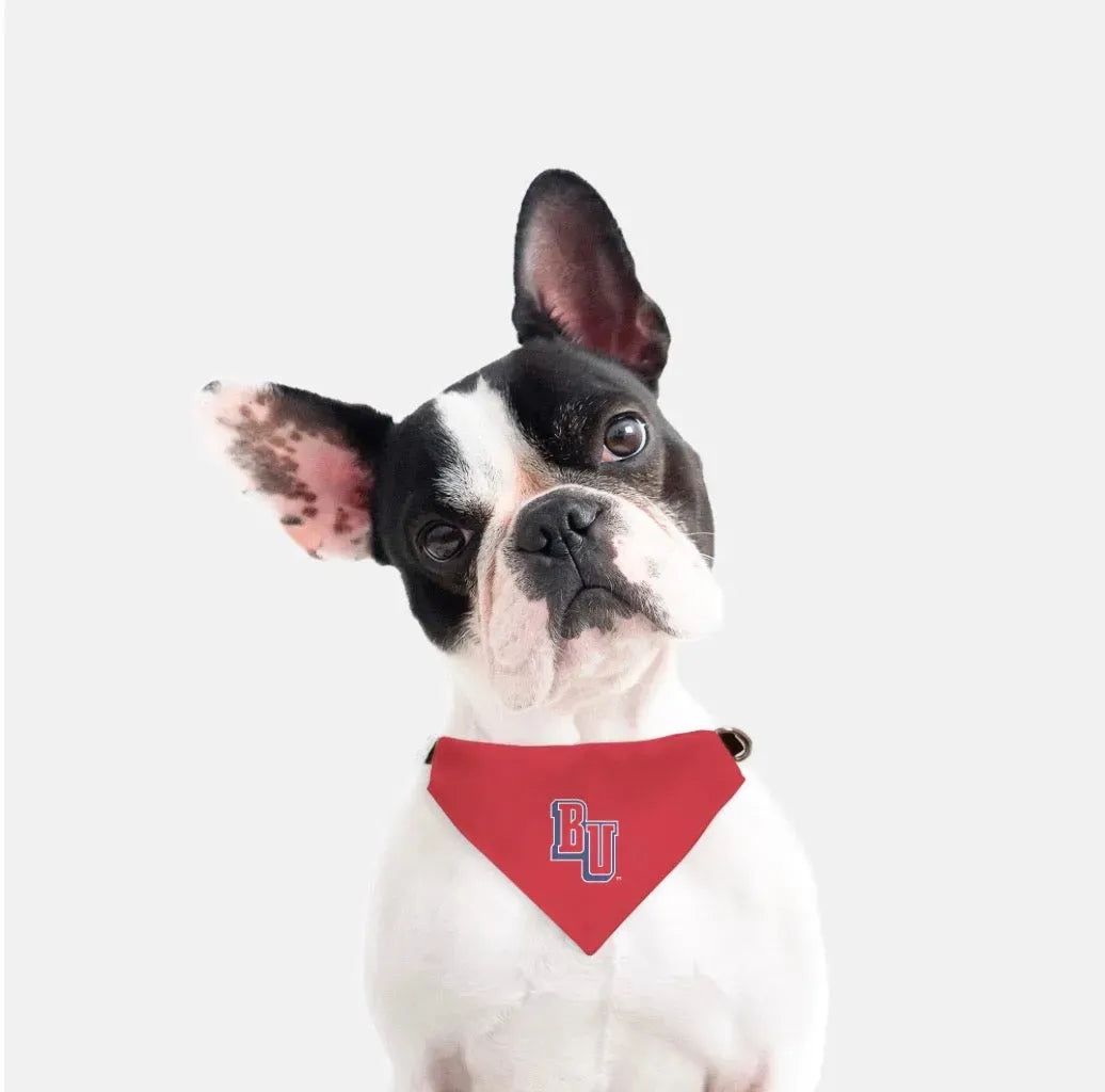 Belmont University Pet Bandana - "BU" Pet Bandanas