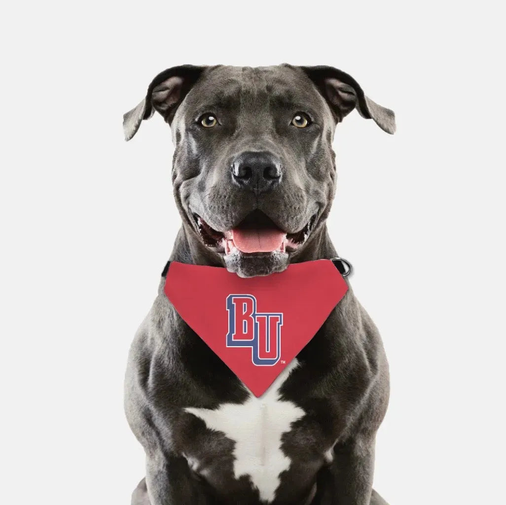 Belmont University Pet Bandana - "BU" Pet Bandanas