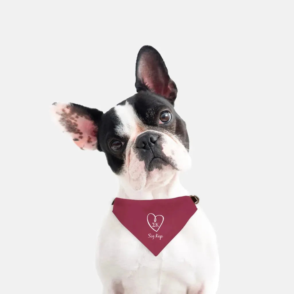 Sig Kap Pet Bandana - Maroon Pet Bandanas