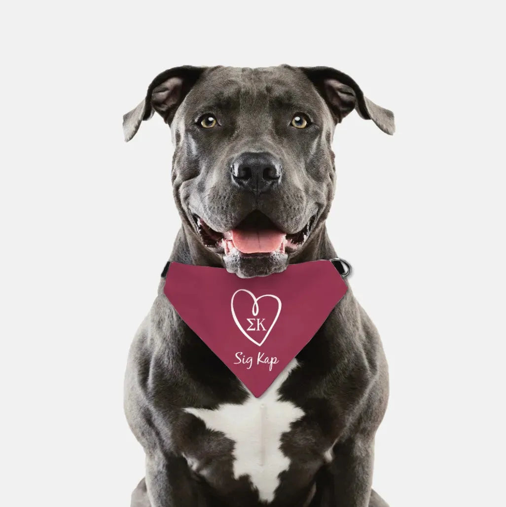 Sig Kap Pet Bandana - Maroon Pet Bandanas