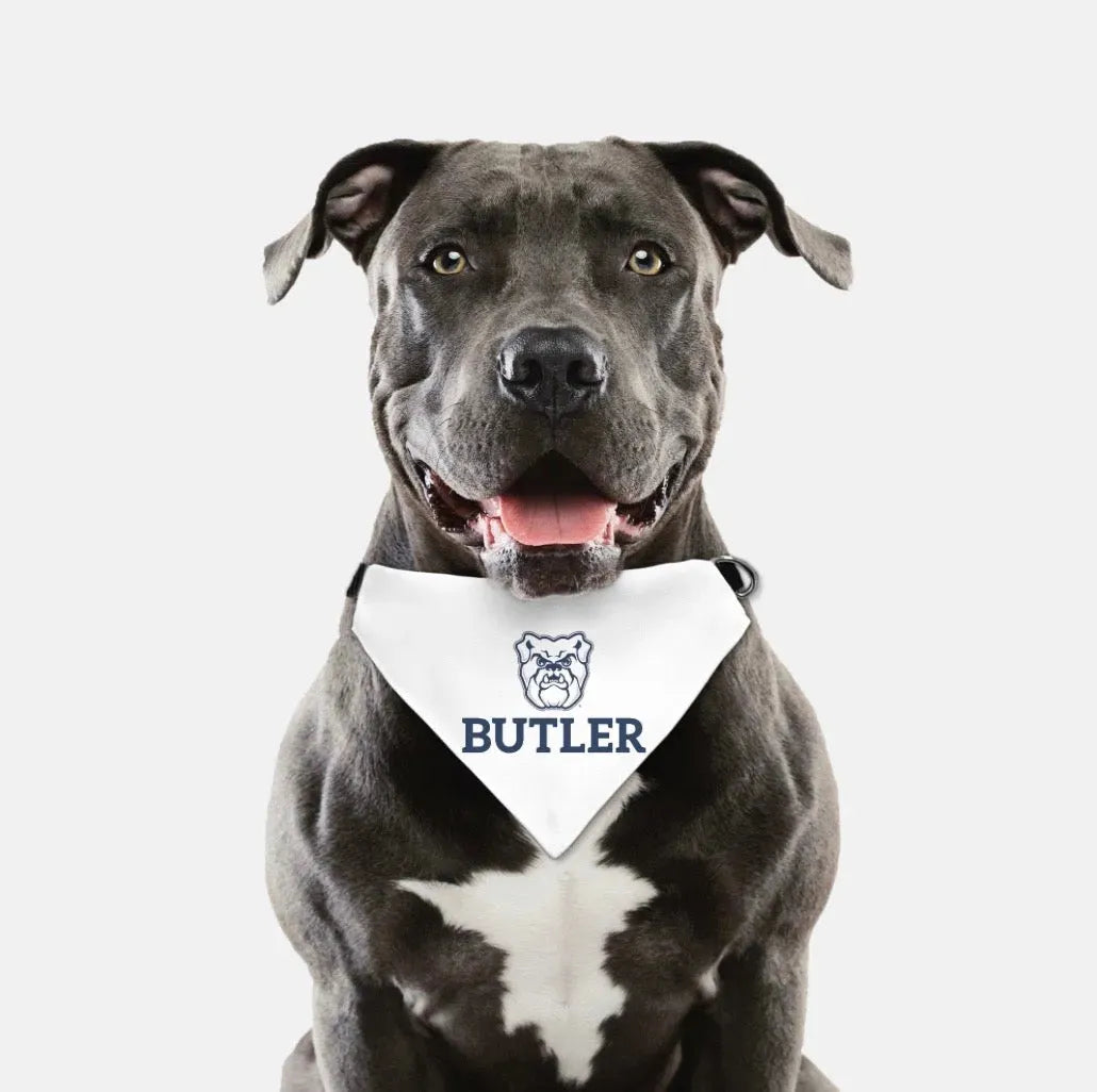 Butler University Pet Bandana Pet Bandanas