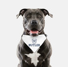 Butler University Pet Bandana | Official Gifts and Merchandise | Festive Fit Home