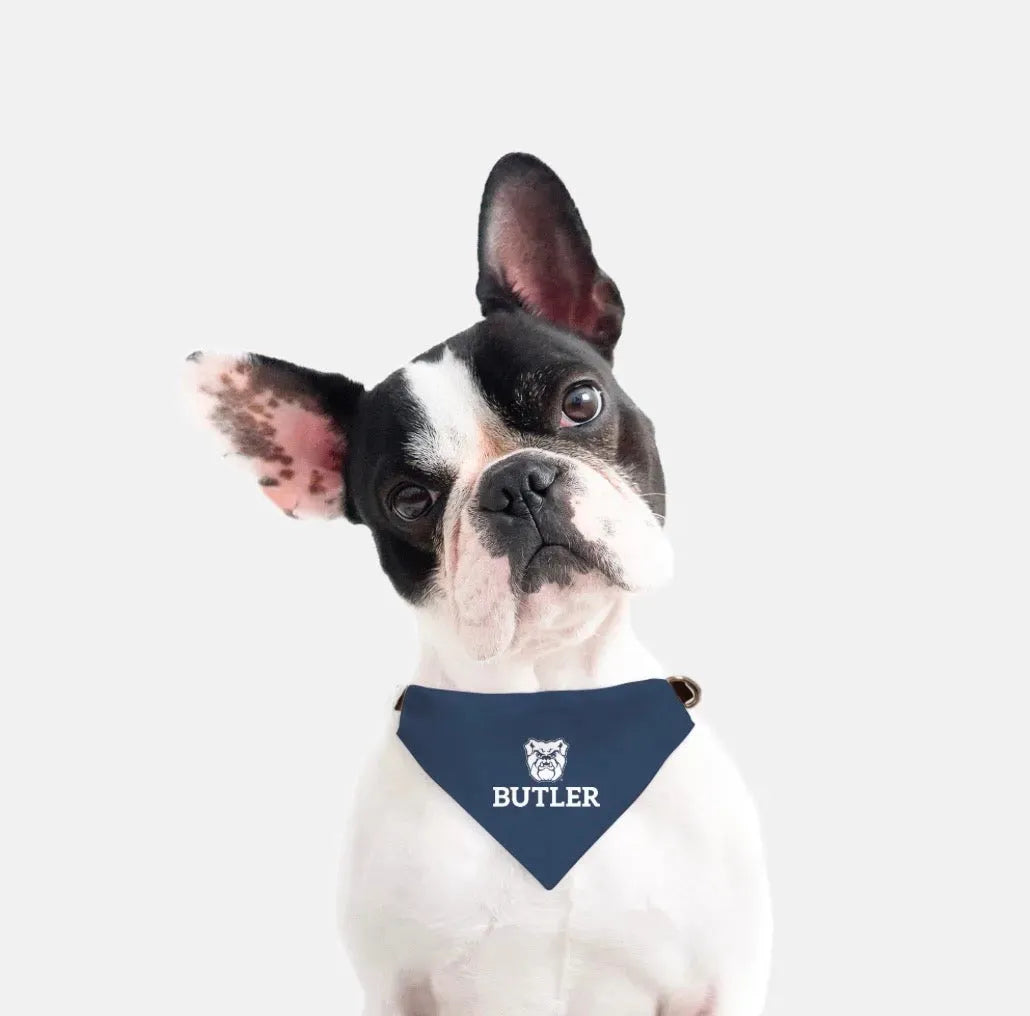Butler University Pet Bandana - Blue Pet Bandanas