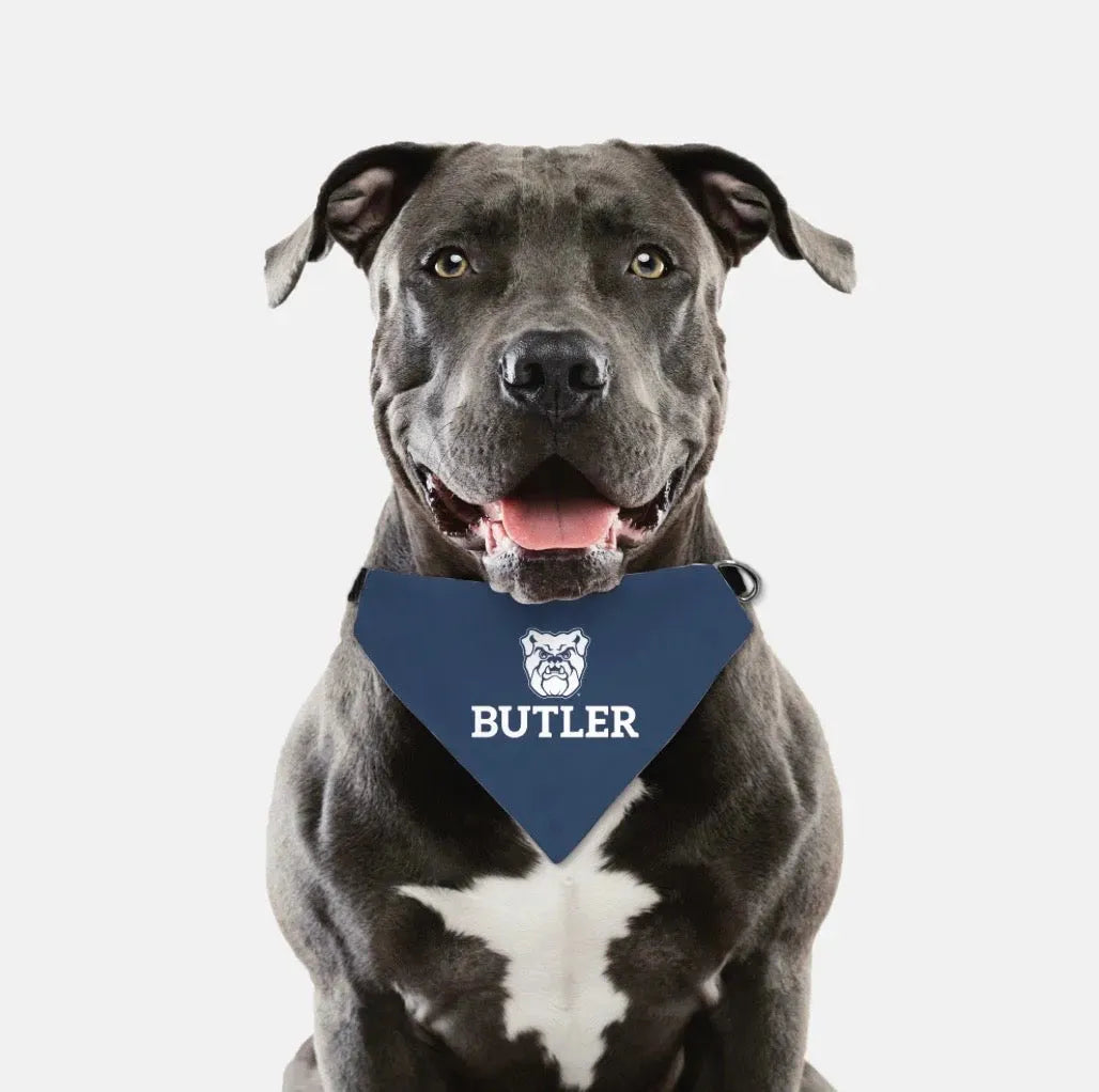 Butler University Pet Bandana - Blue Pet Bandanas
