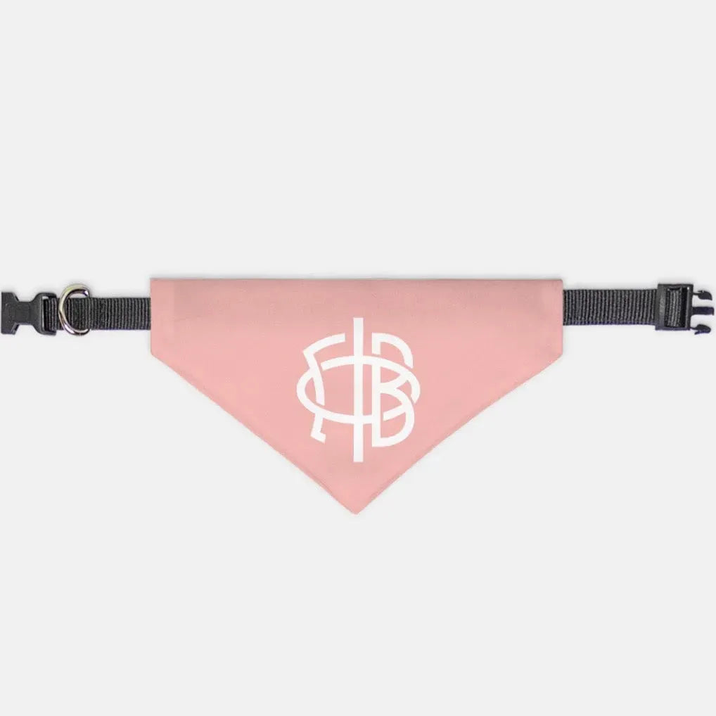 Gamma Phi Beta Pet Bandana - Blush Medium Pet Bandanas