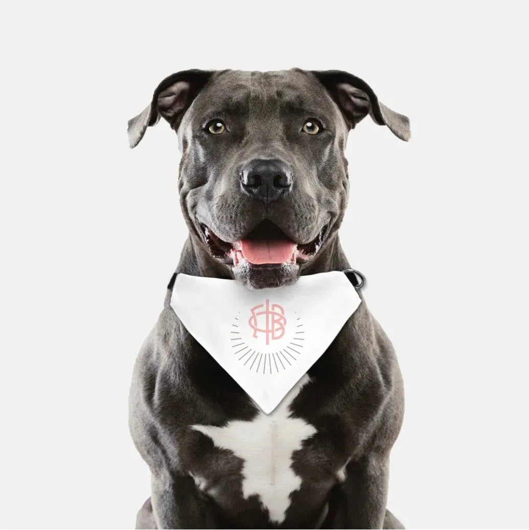 Gamma Phi Beta Pet Bandana Pet Bandanas