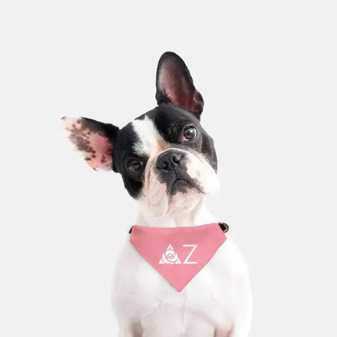 Delta Zeta Traditional Pet Bandana - Pink Pet Bandanas