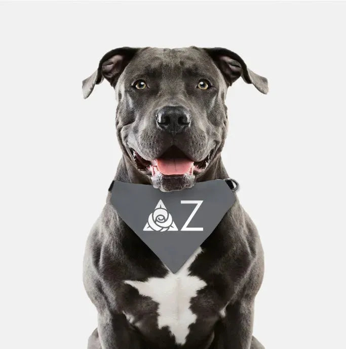 Delta Zeta Traditional Pet Bandana - Gray Pet Bandanas