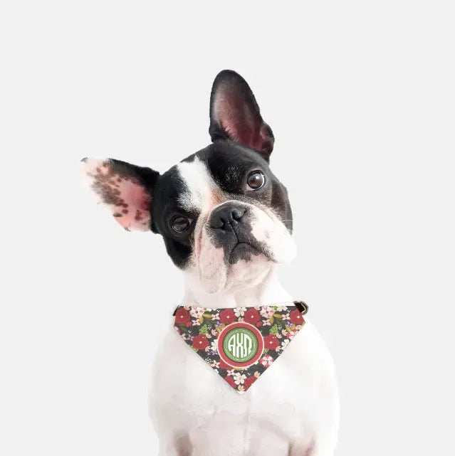 Alpha Chi Omega Pet Bandana - Modern Floral Pet Bandanas