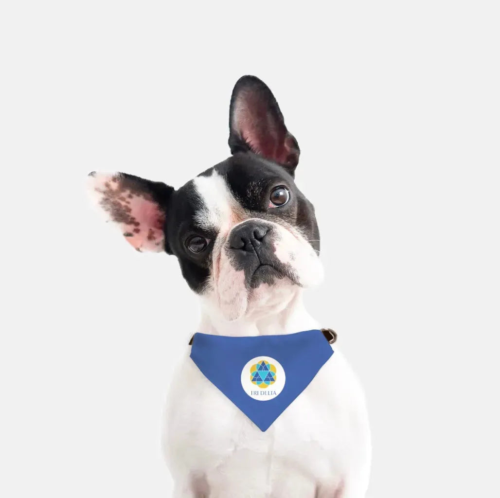 Tri Delta Pet Bandana - Blue Pet Bandanas