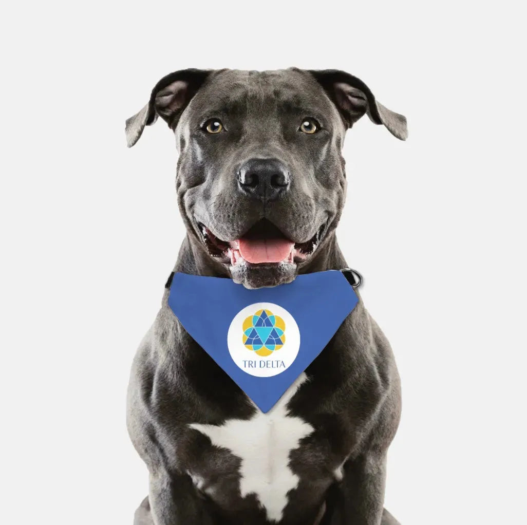 Tri Delta Pet Bandana - Blue Pet Bandanas