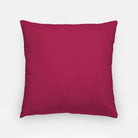 Alpha Sigma Alpha Throw Pillow Cover - Logomark Greek Letters 18" 