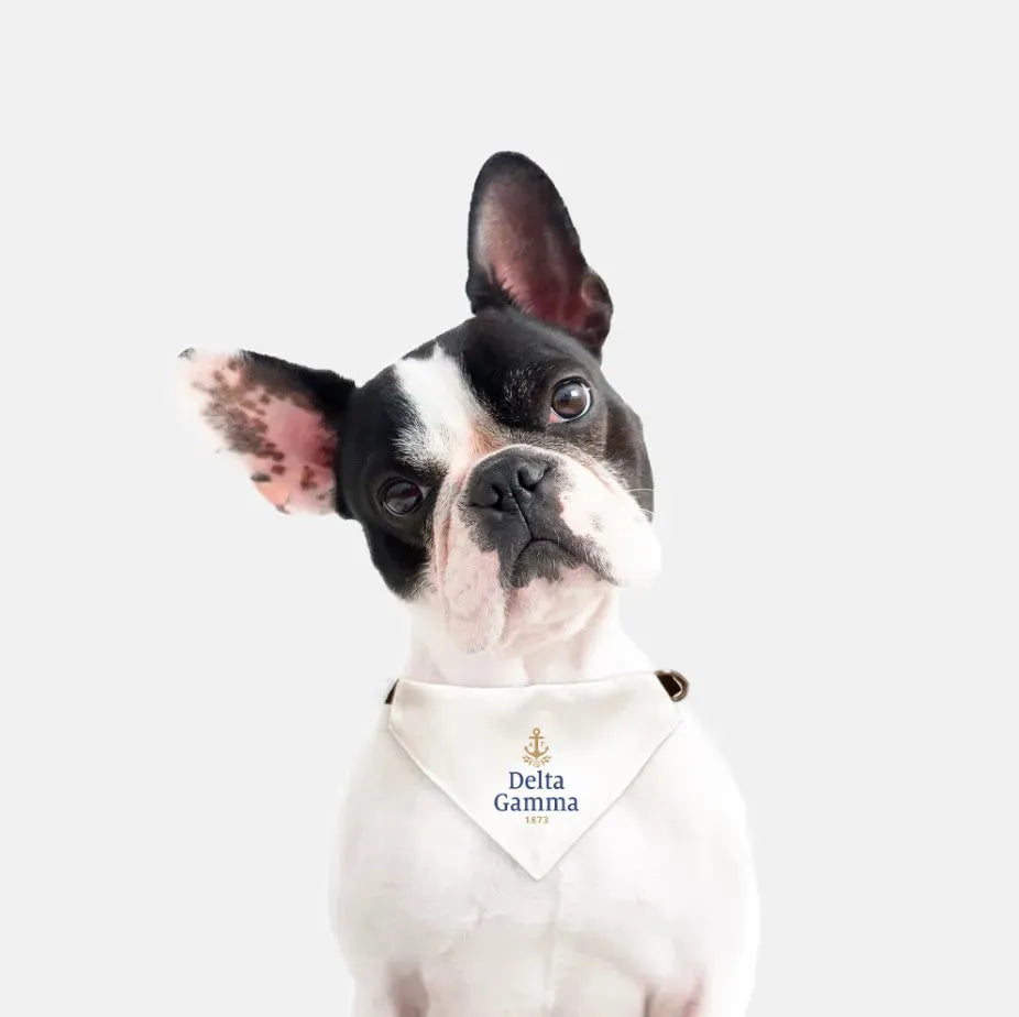 Delta Gamma Traditional Pet Bandana Pet Bandanas