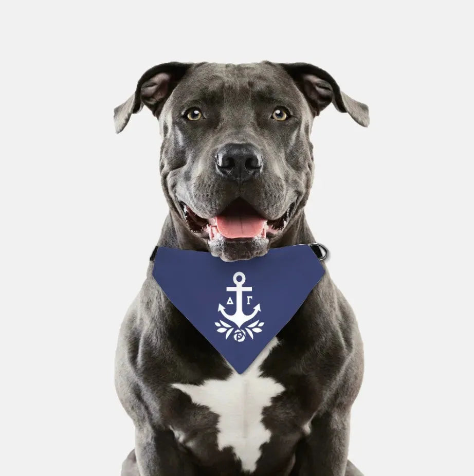 Delta Gamma Pet Bandana - Brandmark Pet Bandanas