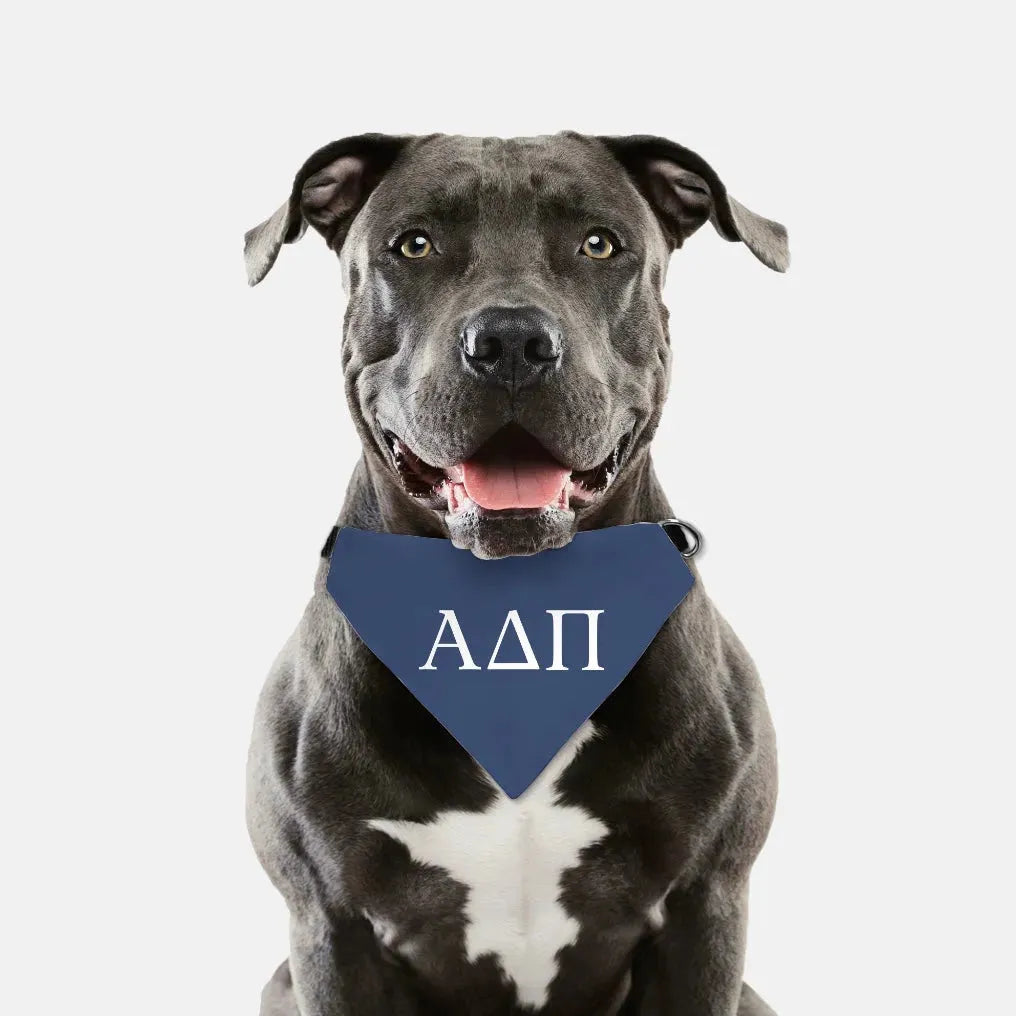 Alpha Delta Pi Pet Bandana - Greek Letters Pet Bandanas
