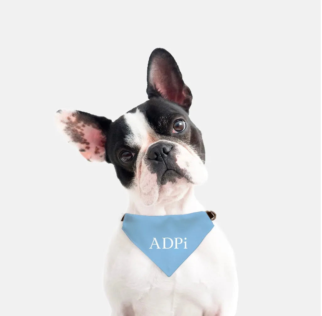 ADPi Pet Bandana | Official Accessories | Custom Gifts | Dorm Decor