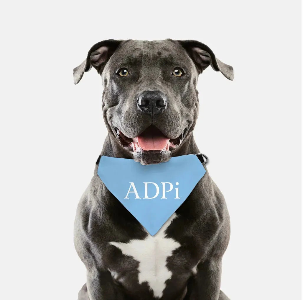 ADPi Pet Bandana Pet Bandanas