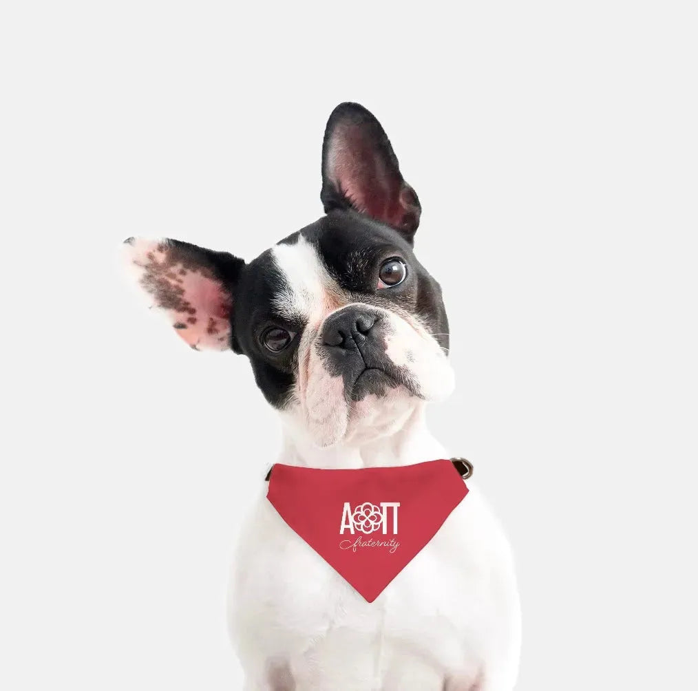 Alpha Omicron Pi Pet Bandana Pet Bandanas