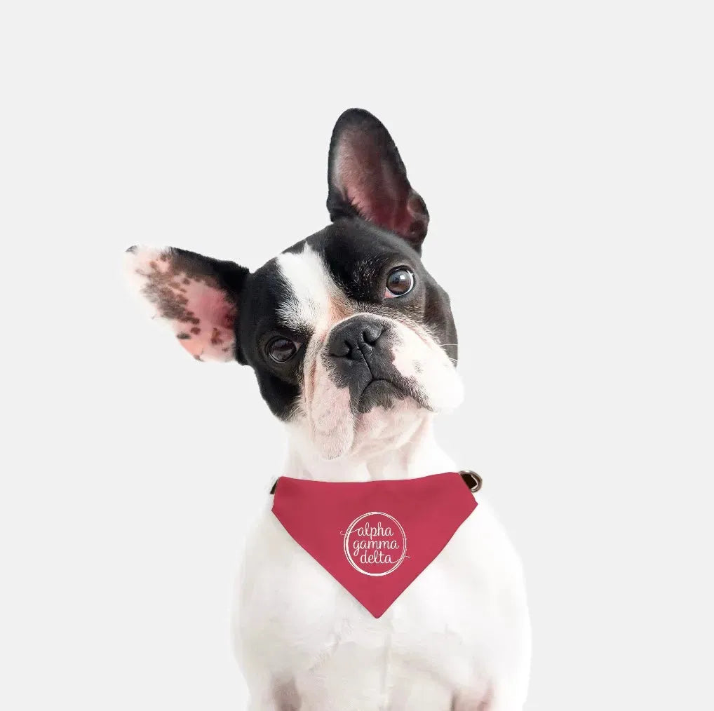 Alpha Gamma Delta Pet Bandana Pet Bandanas