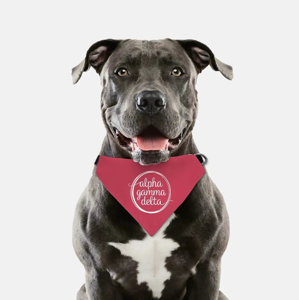 Alpha Gamma Delta Pet Bandana Pet Bandanas