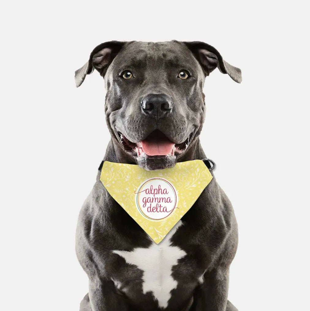 Alpha Gamma Delta Pet Bandana - Buff Combo Pattern Pet Bandanas