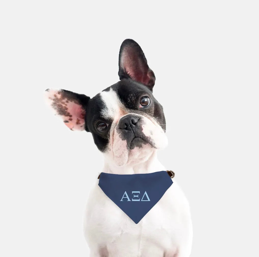 Alpha Xi Delta Pet Bandana - Greek Letters | Official Accessories |