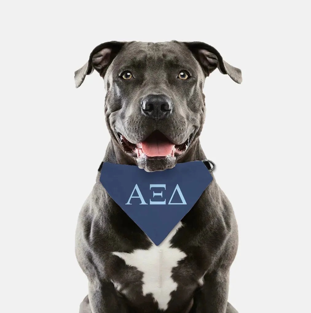 Alpha Xi Delta Pet Bandana - Greek Letters Pet Bandanas
