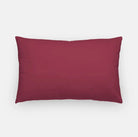 Alpha Sigma Alpha Lumbar Pillow Cover - Evaluate and Influence | Gifts and Decor | Festive Fit Home