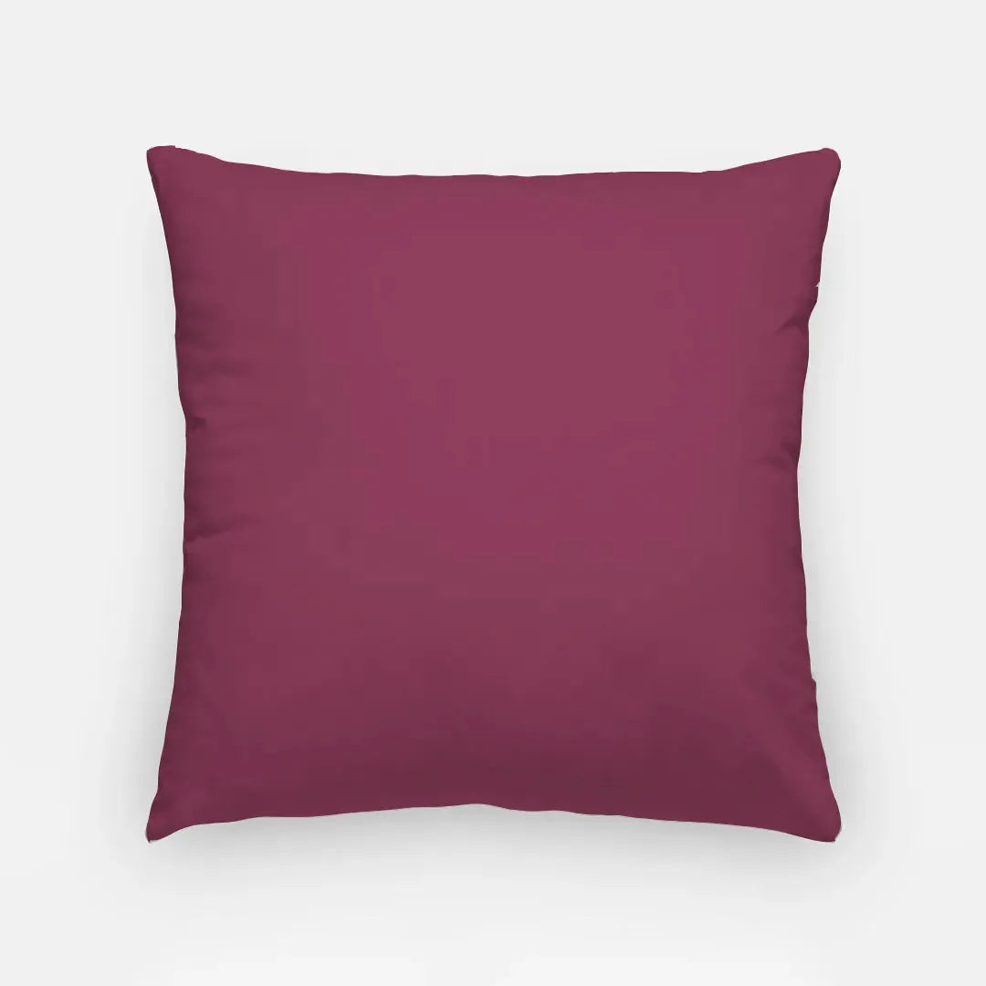 Alpha Phi 18" Throw Pillow Cover - Monogram Pillow Covers