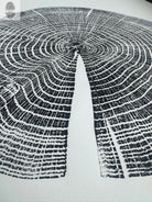 Red Oak Tree Ring Print – Spartanburg County, SC – 18x24 | Wall Art | Campus Greek Fit