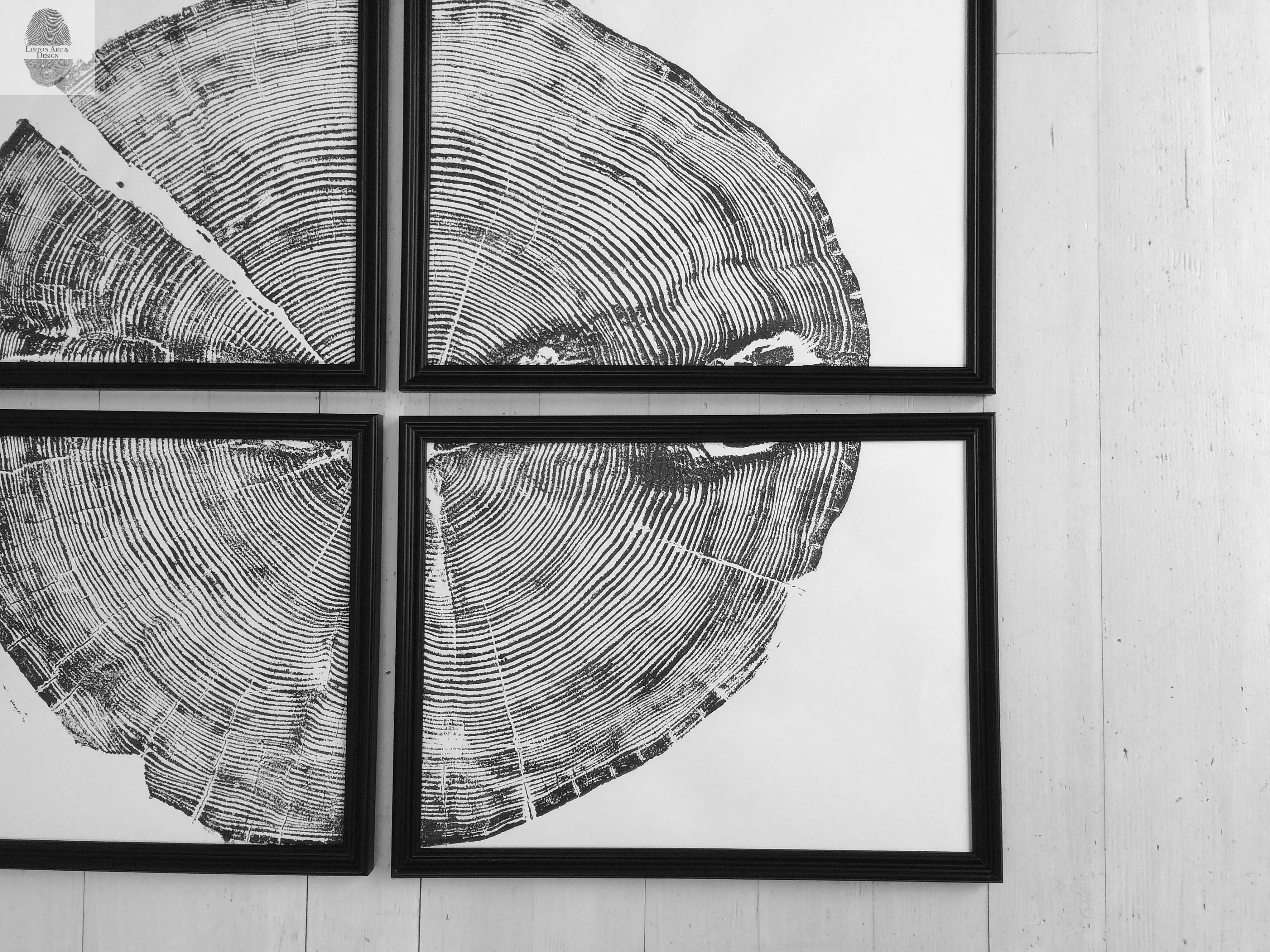 White Pine Set of 4 - 12x16 each print | Sundance Canyon, Utah | Art | Campus Greek Fit