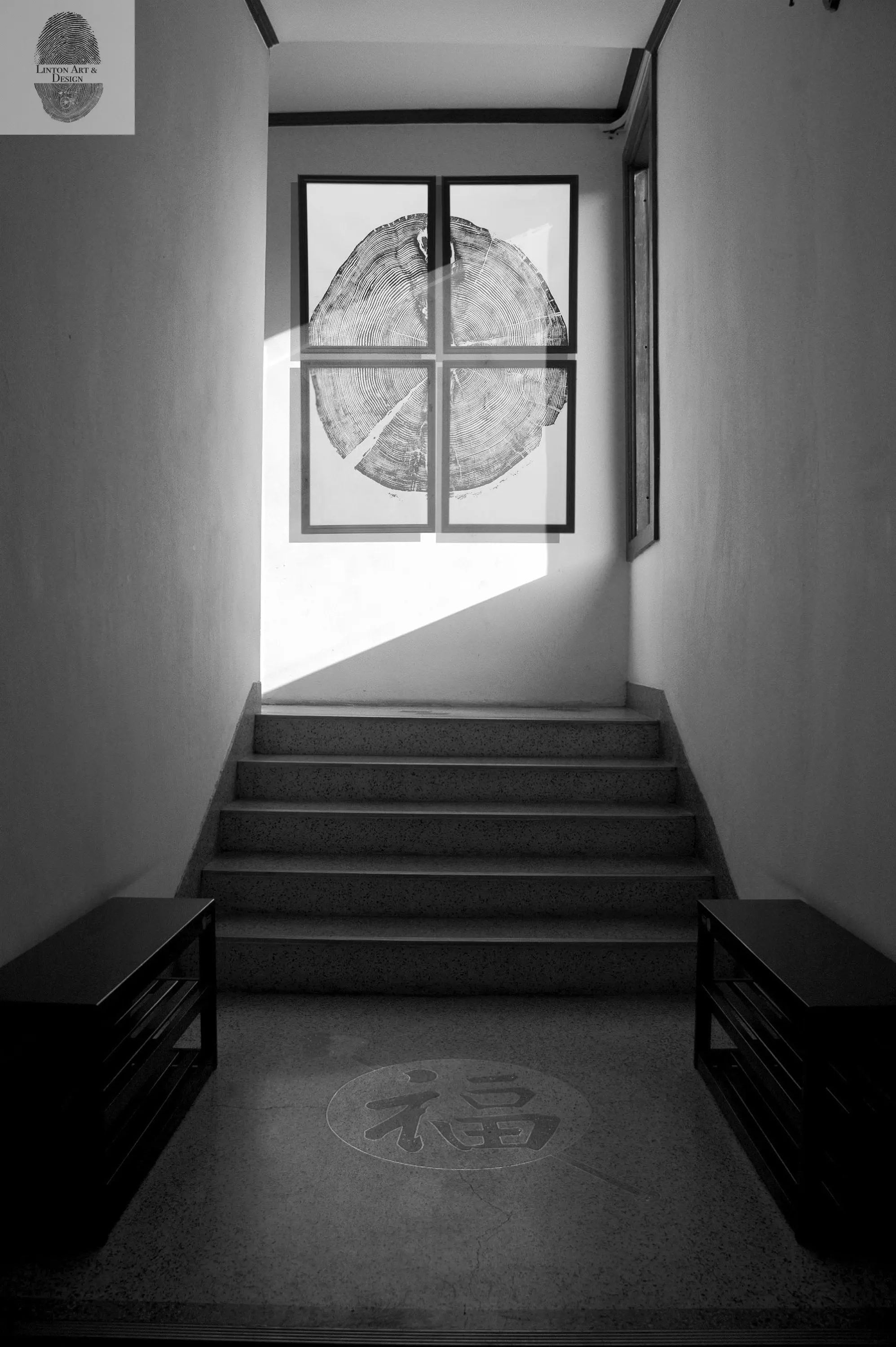 White Pine Set of 4 - 12x16 each print | Sundance Canyon, Utah | Art | Campus Greek Fit