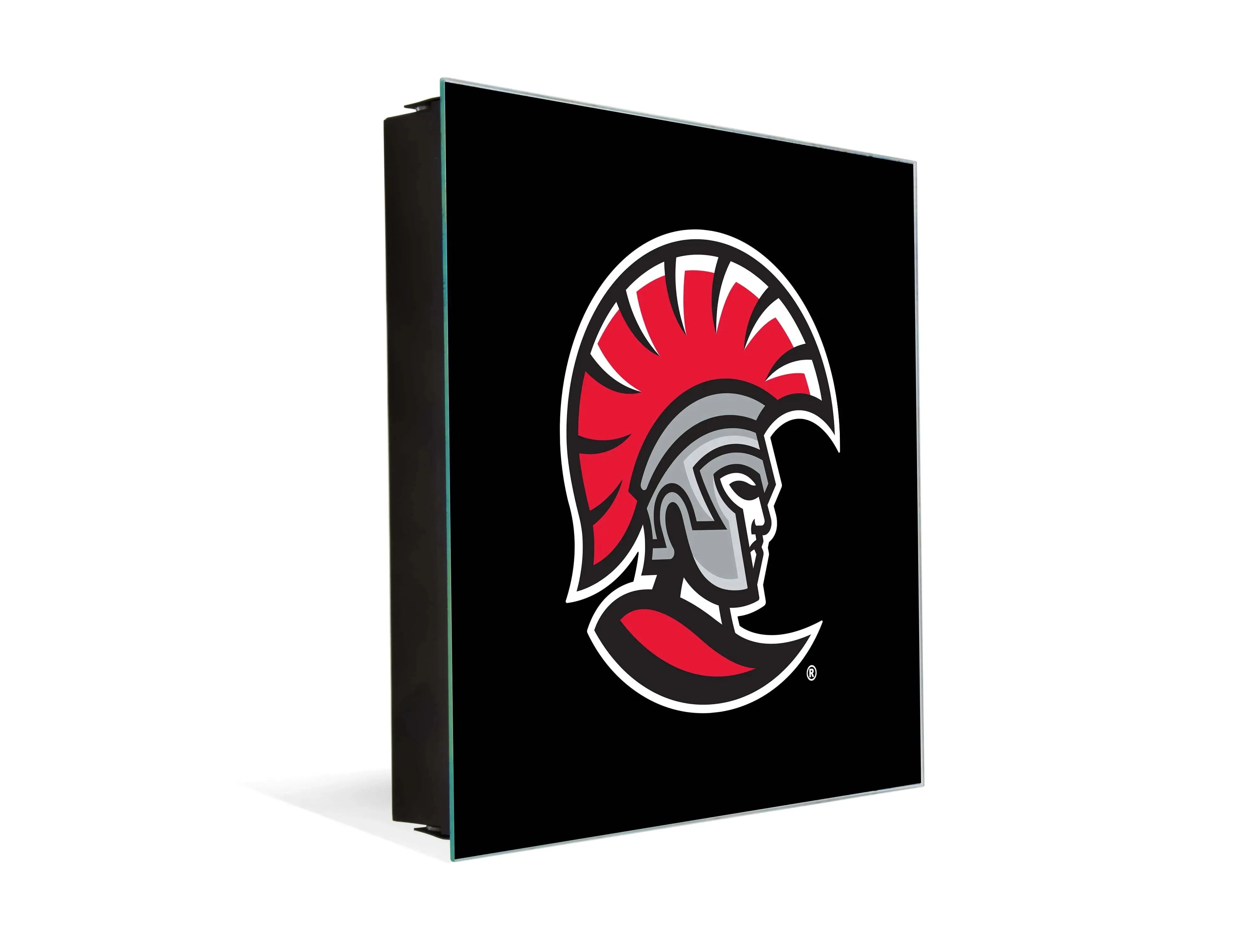 3-in-1 University of Tampa Magnetic Dry-Erase Key Box - Spartan Key Box