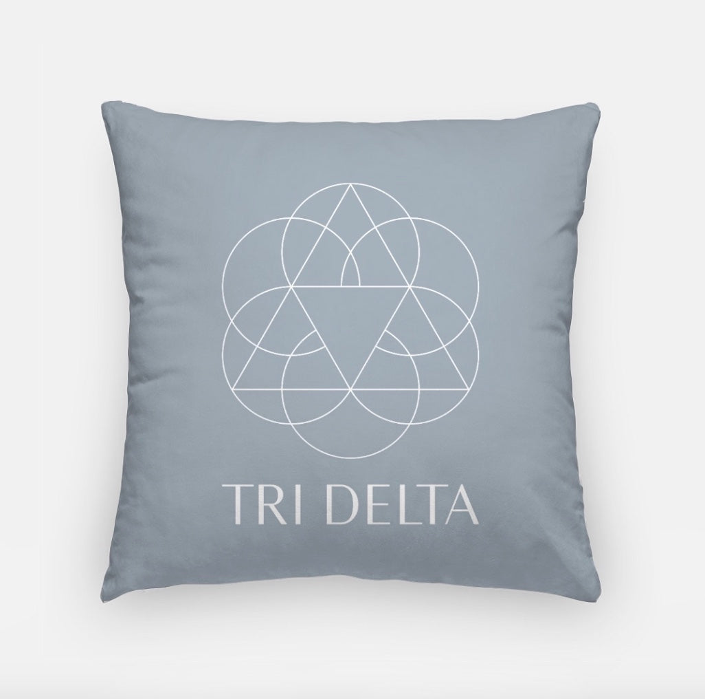 Tri Delta 18" Traditional Throw Pillow Silver