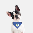 Tri Delta Pet Bandana - Blue Pet Bandanas