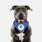 Tri Delta Pet Bandana - Blue Pet Bandanas