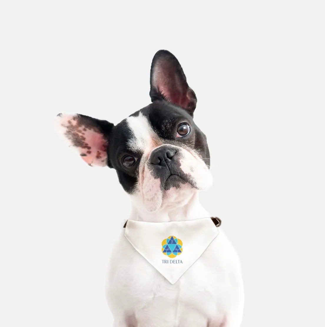 Tri Delta Pet Bandana Pet Bandanas