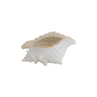 Conch Bowl with Gold Accent | Coastal Dorm Decor & Accessories - Campus Greek Fit
