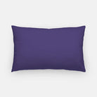 Tri Sigma Retro Lumbar Pillow Cover Pillow Covers