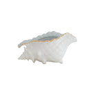 Conch Bowl with Gold Accent | Coastal Dorm Decor & Accessories - Campus Greek Fit