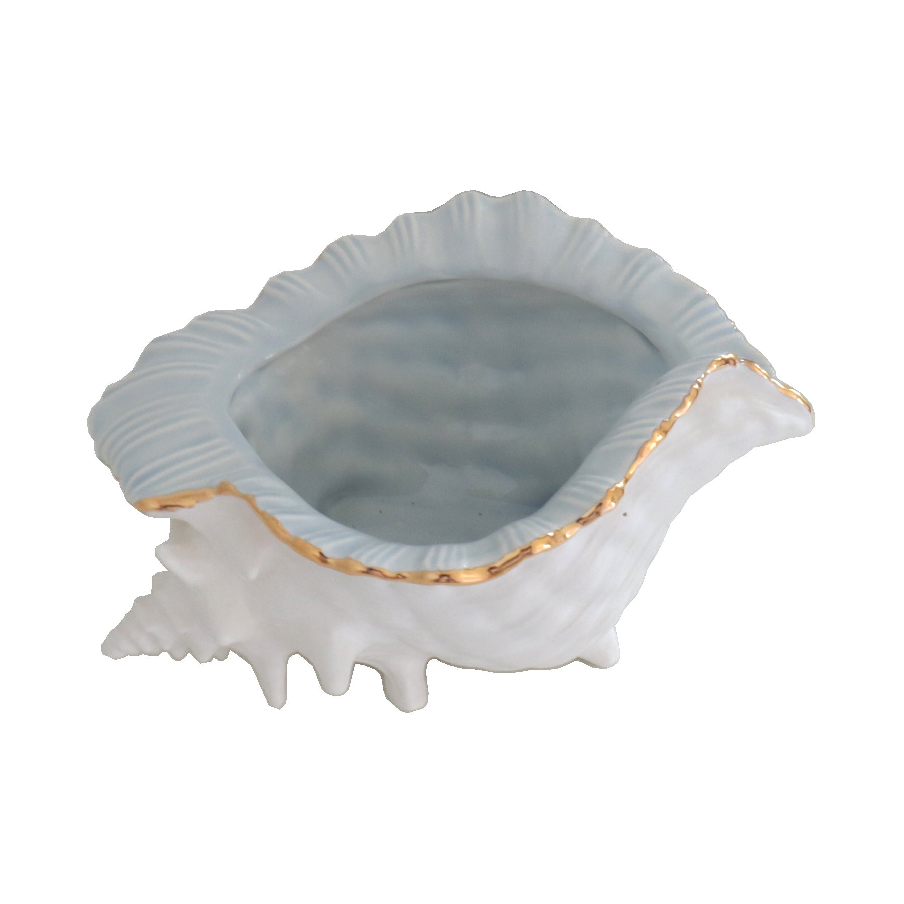 Conch Bowl with Gold Accent | Coastal Dorm Decor & Accessories - Campus Greek Fit