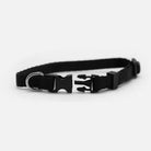 Gamma Phi Beta Pet Bandana - Blush Pet Bandanas